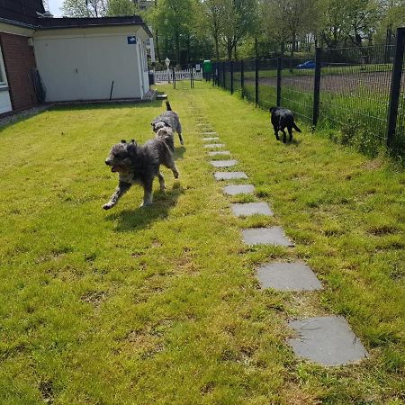 Hotel Am Schlosspark Herten ヘルテン エクステリア 写真
